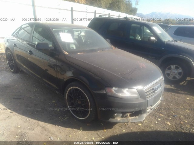 AUDI A4 2010 wauafafl2an006913