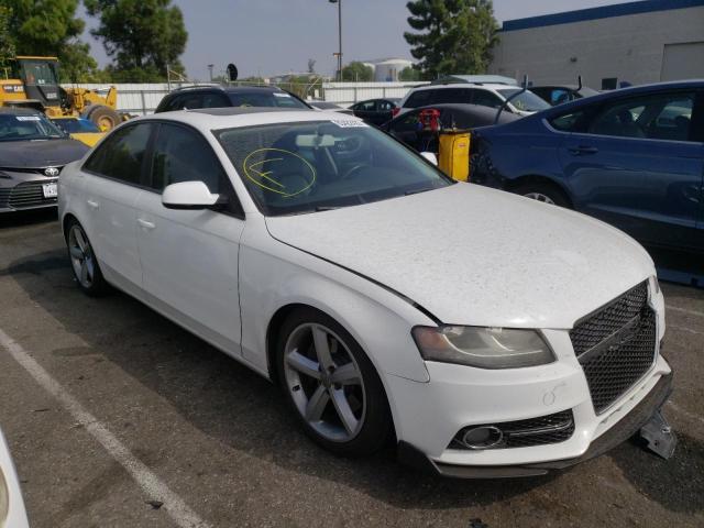 AUDI A4 PREMIUM 2010 wauafafl2an034713