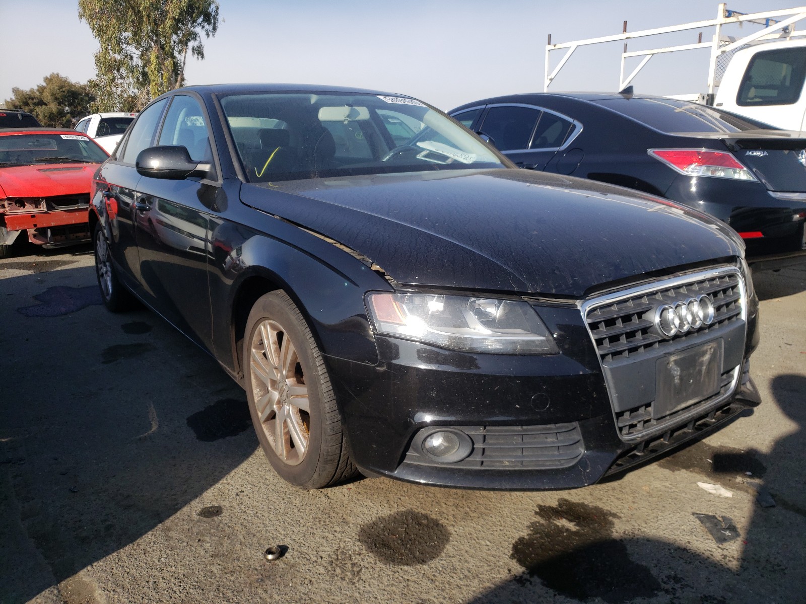 AUDI NULL 2010 wauafafl2an036509