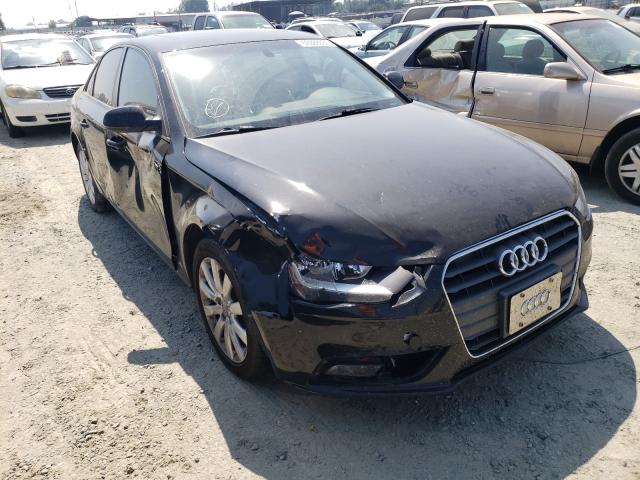 AUDI A4 PREMIUM 2013 wauafafl2da159979