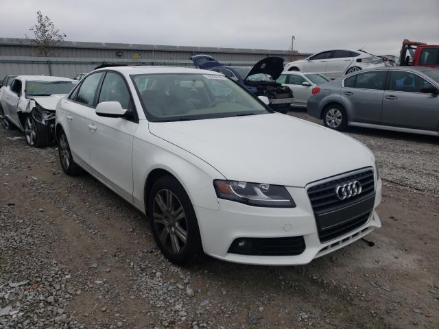 AUDI A4 PREMIUM 2010 wauafafl3an033022