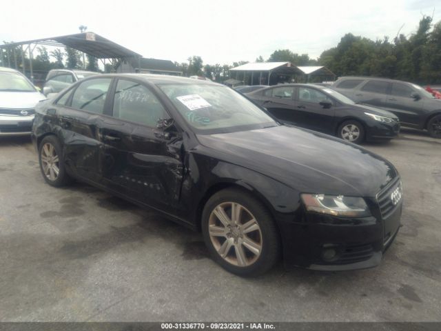 AUDI A4 2010 wauafafl3an056414