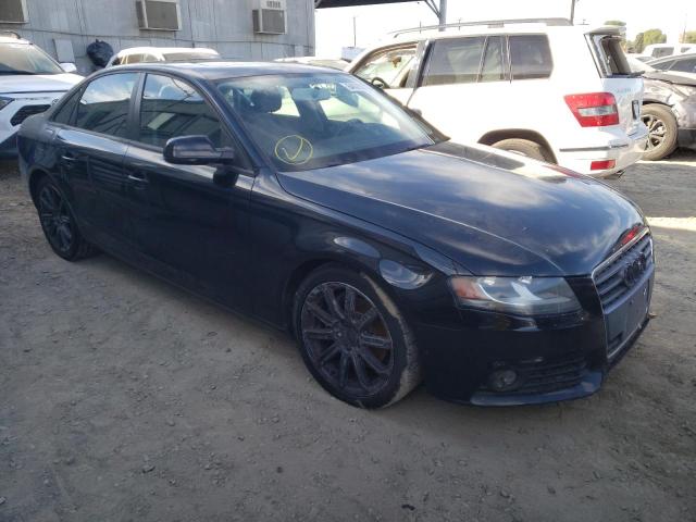 AUDI A4 PREMIUM 2010 wauafafl4an028296