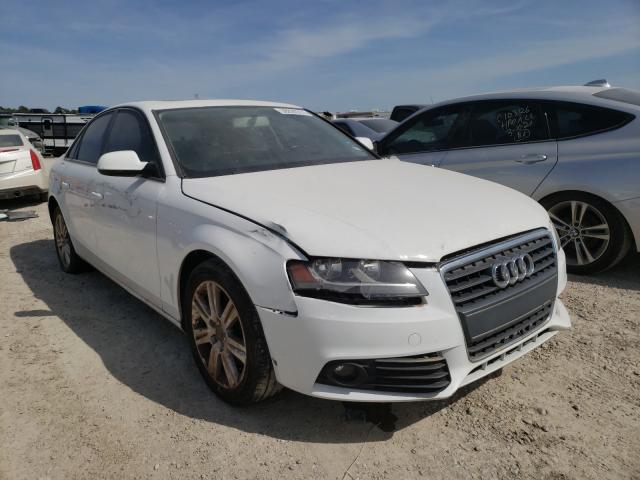 AUDI A4 PREMIUM 2010 wauafafl4an052551