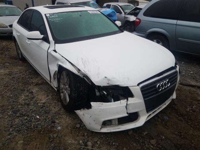 AUDI A4 PREMIUM 2010 wauafafl4an059628