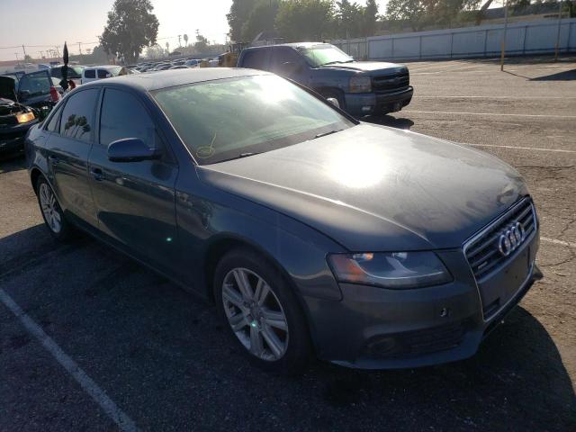 AUDI A4 PREMIUM 2010 wauafafl4an069026