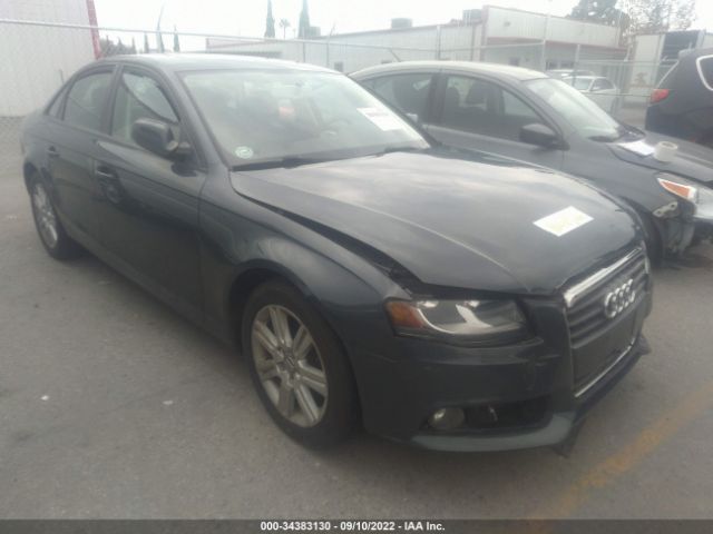 AUDI A4 2011 wauafafl4bn038232