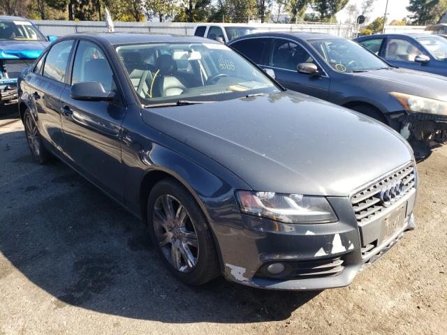 AUDI A4 PREMIUM 2010 wauafafl5an010664