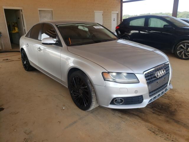 AUDI A4 PREMIUM 2010 wauafafl5an040229