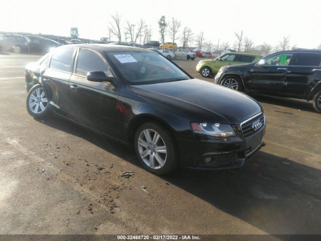 AUDI A4 2010 wauafafl5an051554