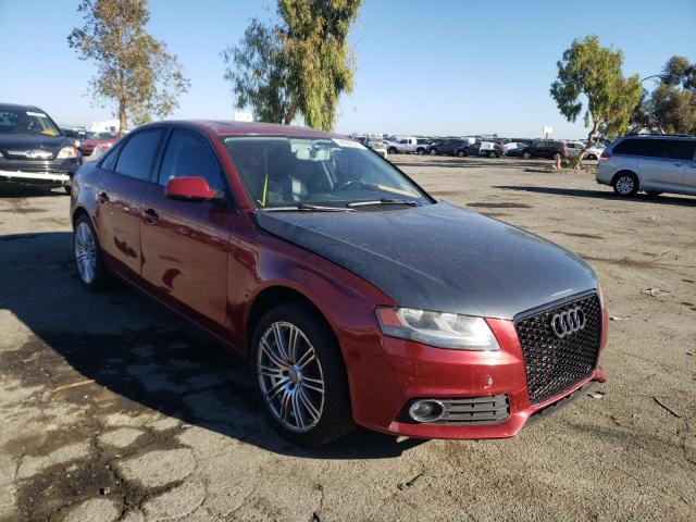 AUDI A4 PREMIUM 2010 wauafafl5an054258