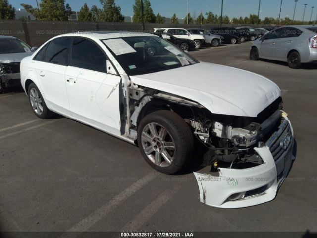 AUDI A4 2010 wauafafl6an029496