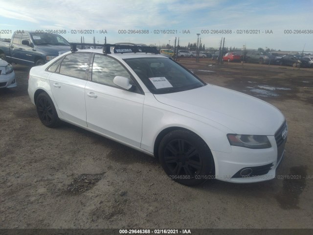 AUDI A4 2010 wauafafl7an010830