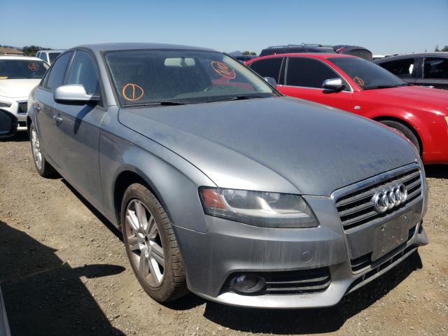 AUDI A4 PREMIUM 2010 wauafafl7an025960