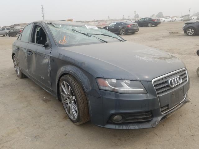 AUDI A4 PREMIUM 2010 wauafafl7an047750