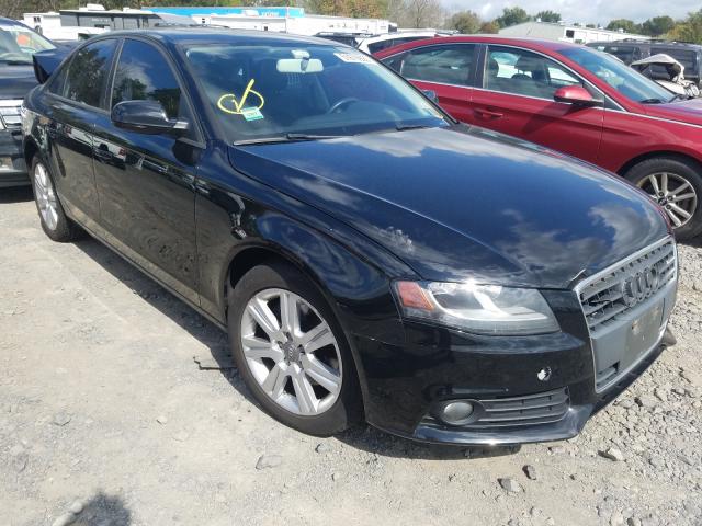 AUDI A4 PREMIUM 2010 wauafafl8an014725