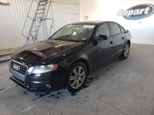 AUDI A4 PREMIUM 2010 wauafafl8an014899