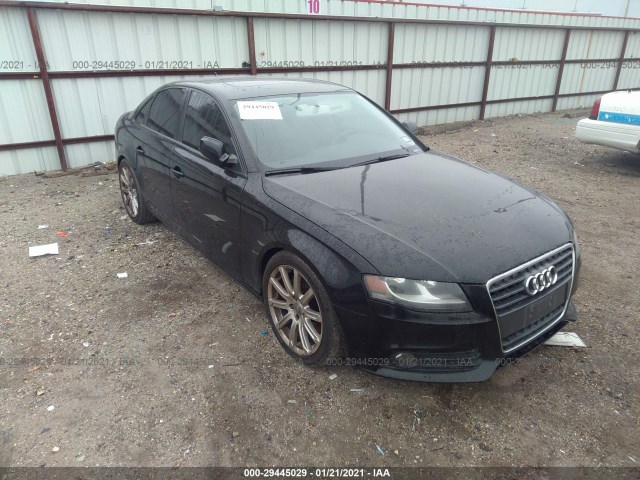 AUDI A4 2010 wauafafl8an022226