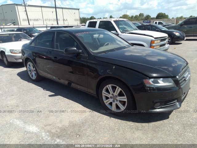 AUDI A4 2010 wauafafl8an023800