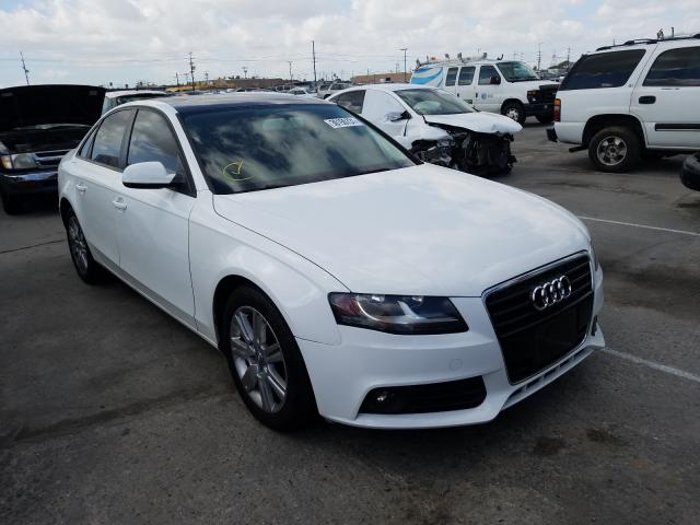 AUDI A4 PREMIUM 2010 wauafafl8an030665