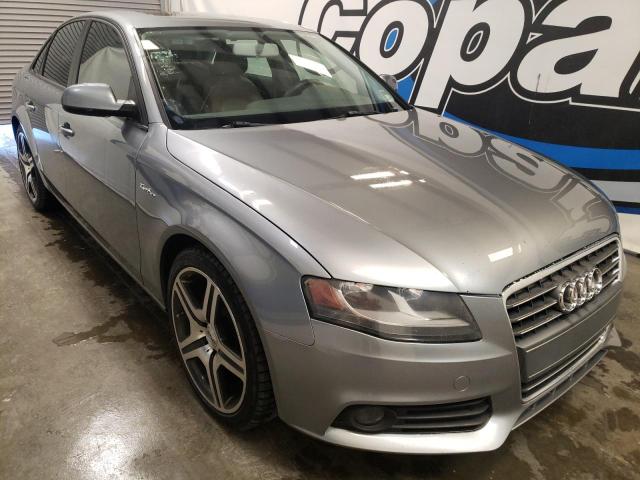 AUDI A4 PREMIUM 2010 wauafafl8an058689