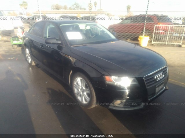 AUDI A4 2011 wauafafl8bn020803