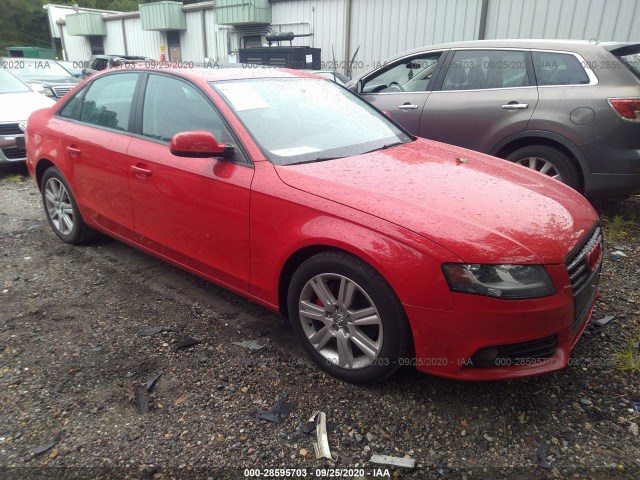 AUDI A4 2010 wauafafl9an033221