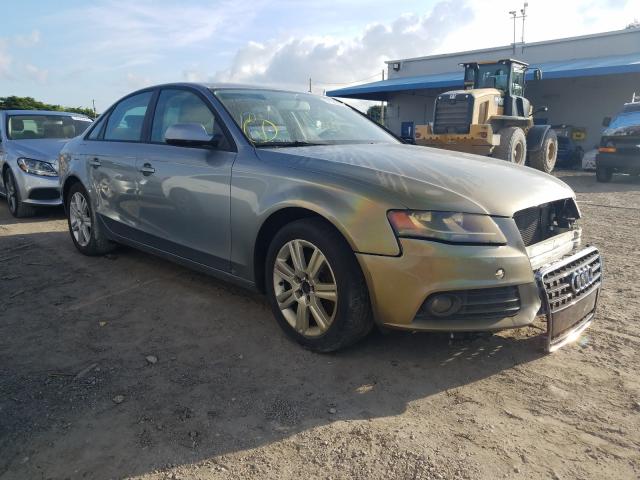 AUDI A4 PREMIUM 2010 wauafaflxan005556