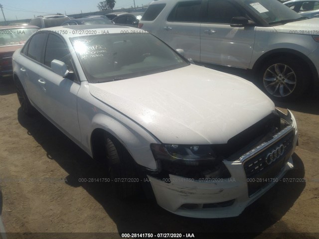 AUDI A4 2010 wauafaflxan009445