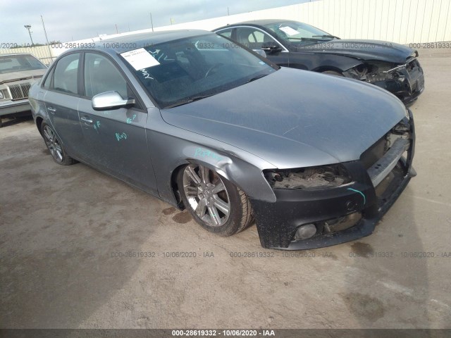 AUDI A4 2010 wauafaflxan040162