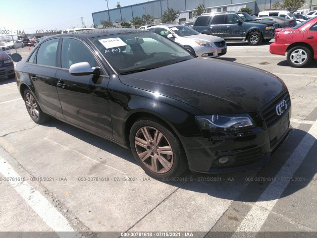 AUDI A4 2010 wauafaflxan057480