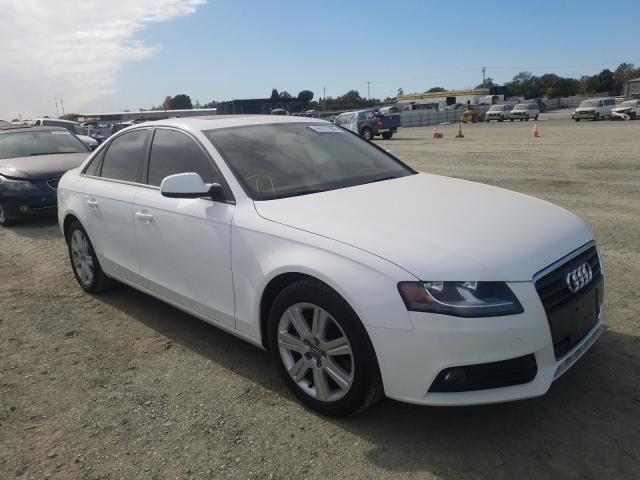 AUDI A4 PREMIUM 2011 wauafaflxbn042088