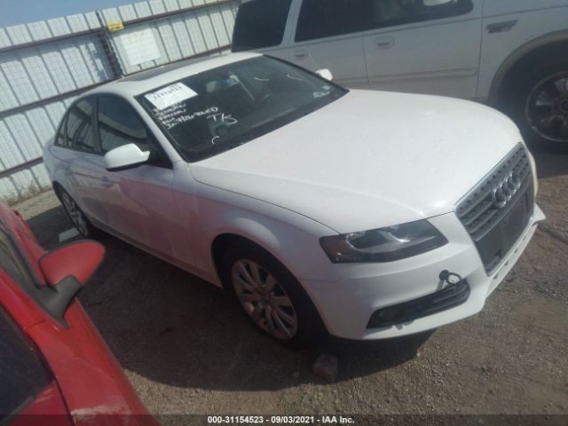 AUDI A4 2012 wauafaflxca118515