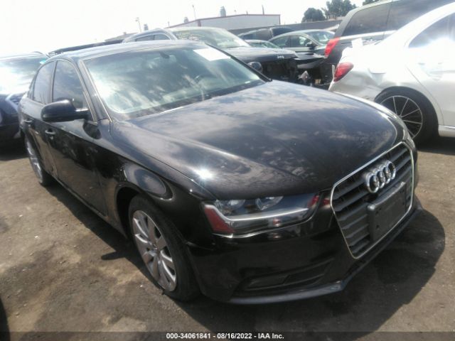 AUDI A4 2013 wauafaflxda144789