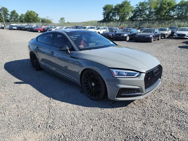 AUDI S5 PREMIUM 2019 waub4cf58ka064959