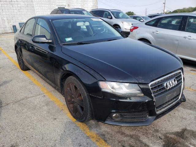 AUDI A4 PREMIUM 2010 waubfafl0an014268