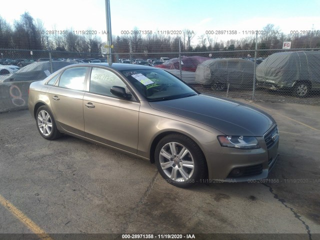 AUDI A4 2010 waubfafl0an016666