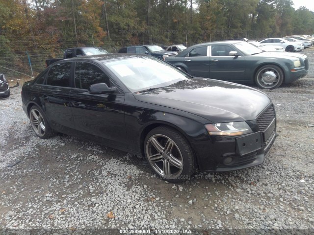 AUDI A4 2010 waubfafl0an033435