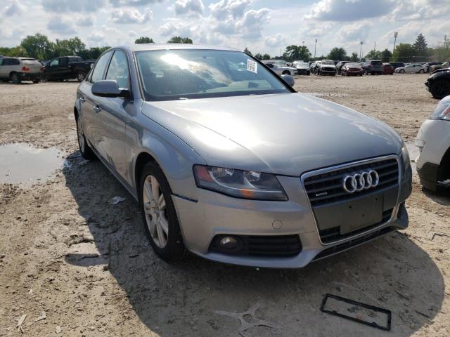 AUDI A4 PREMIUM 2010 waubfafl0an036898