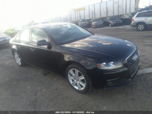 AUDI A4 2010 waubfafl0an065432