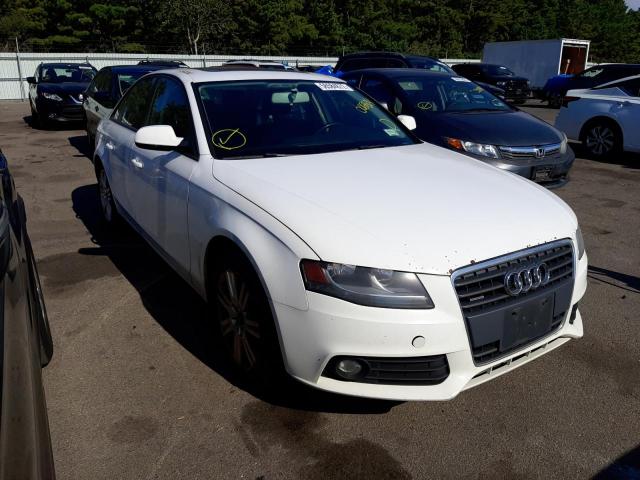 AUDI A4 PREMIUM 2011 waubfafl0bn006804