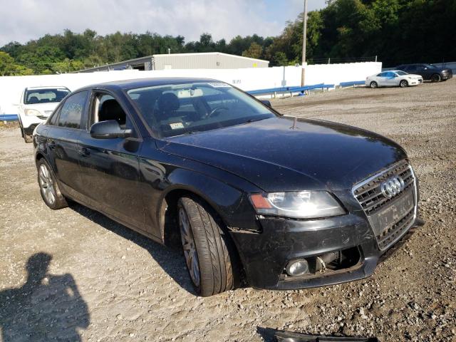 AUDI A4 PREMIUM 2011 waubfafl0bn022663