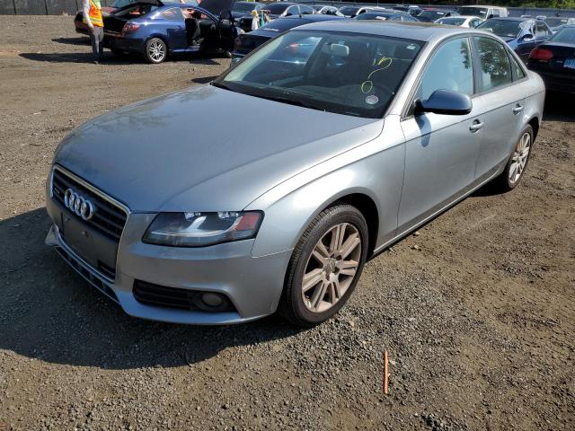 AUDI A4 PREMIUM 2011 waubfafl0bn047515