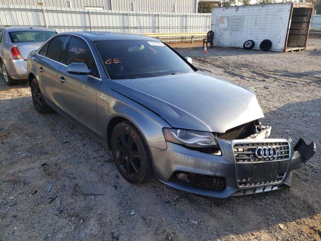 AUDI A4 PREMIUM 2012 waubfafl0cn009106