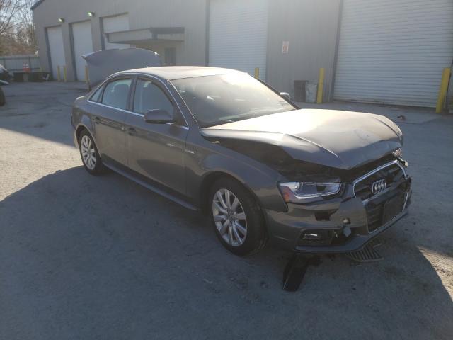 AUDI A4 PREMIUM 2015 waubfafl0fn002421