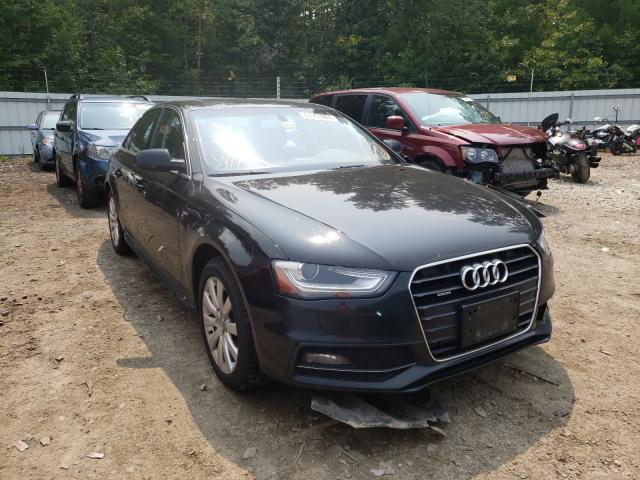 AUDI A4 PREMIUM 2015 waubfafl0fn012611