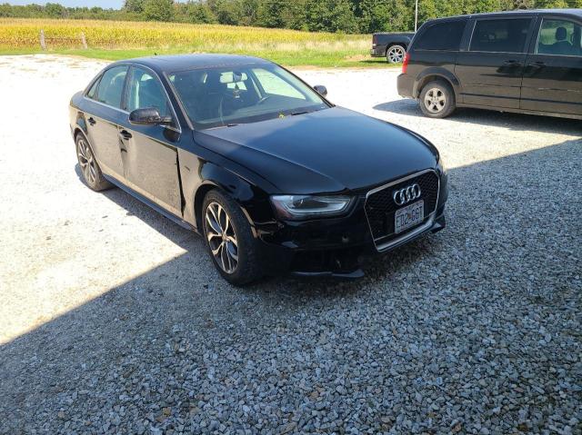 AUDI A4 PREMIUM 2015 waubfafl0fn030641