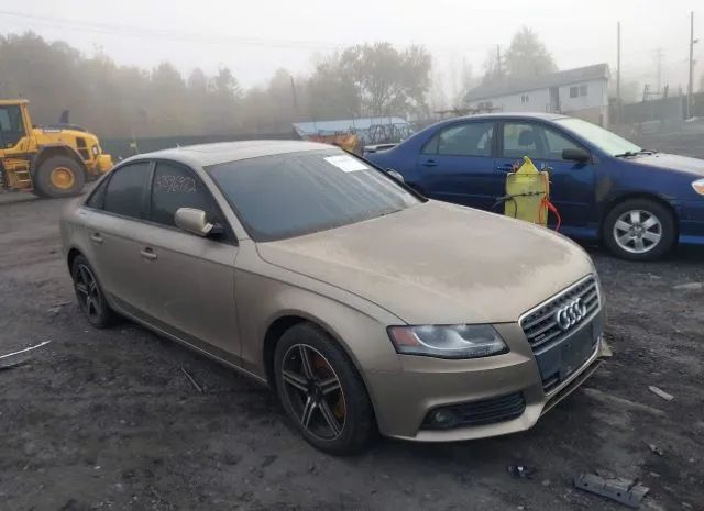 AUDI A4 2010 waubfafl1an005434