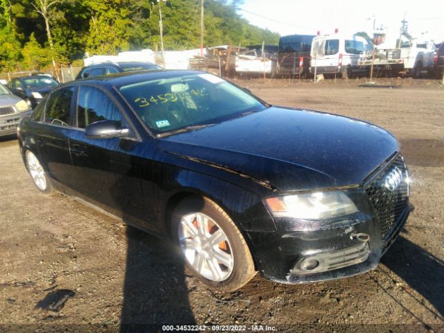 AUDI A4 2010 waubfafl1an009435