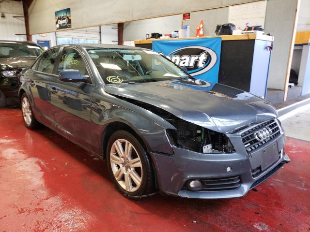 AUDI A4 PREMIUM 2010 waubfafl1an012691